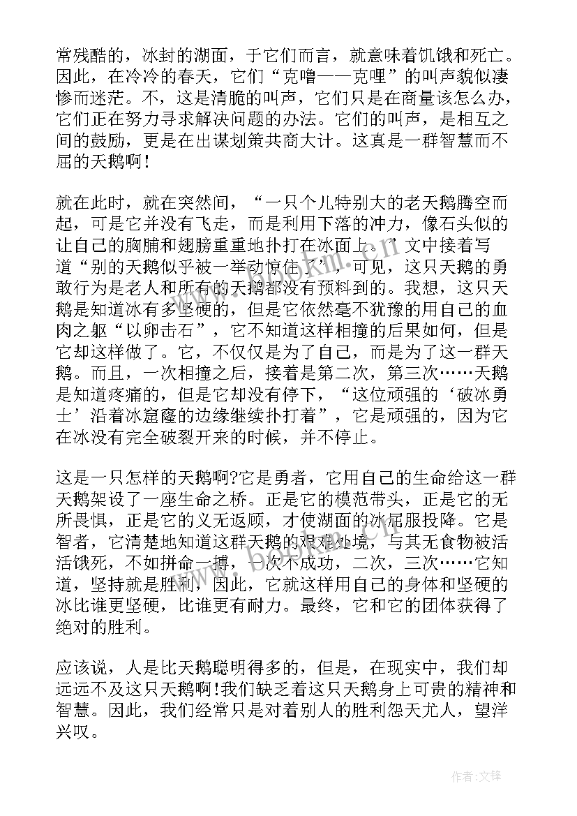 最新金天鹅故事读后感 哑天鹅的故事读后感(实用5篇)