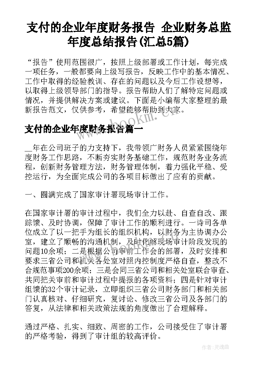 支付的企业年度财务报告 企业财务总监年度总结报告(汇总5篇)