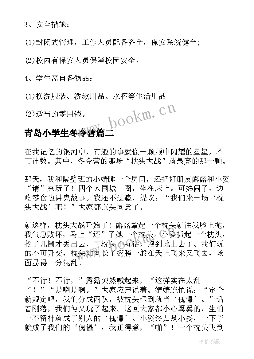 2023年青岛小学生冬令营 冬令营活动方案(精选5篇)