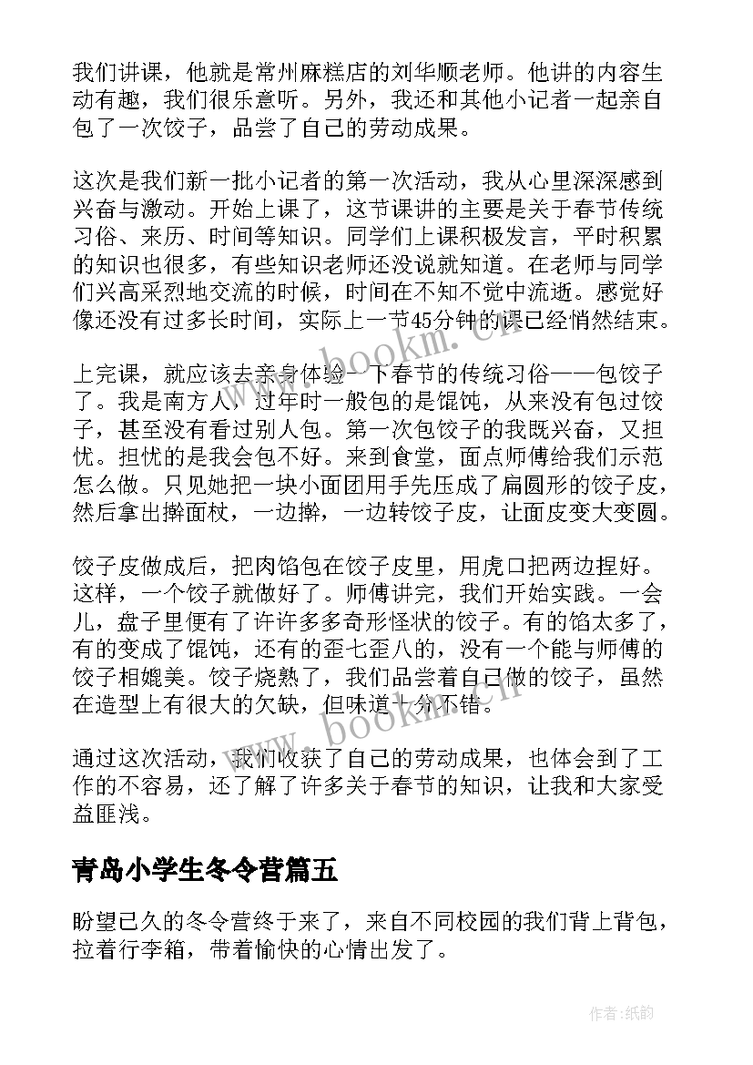 2023年青岛小学生冬令营 冬令营活动方案(精选5篇)