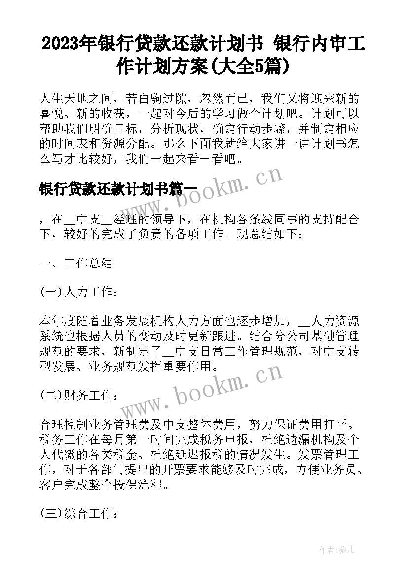 2023年银行贷款还款计划书 银行内审工作计划方案(大全5篇)