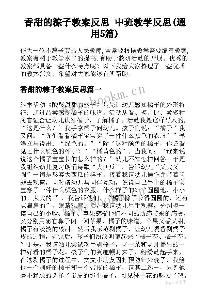 香甜的粽子教案反思 中班教学反思(通用5篇)