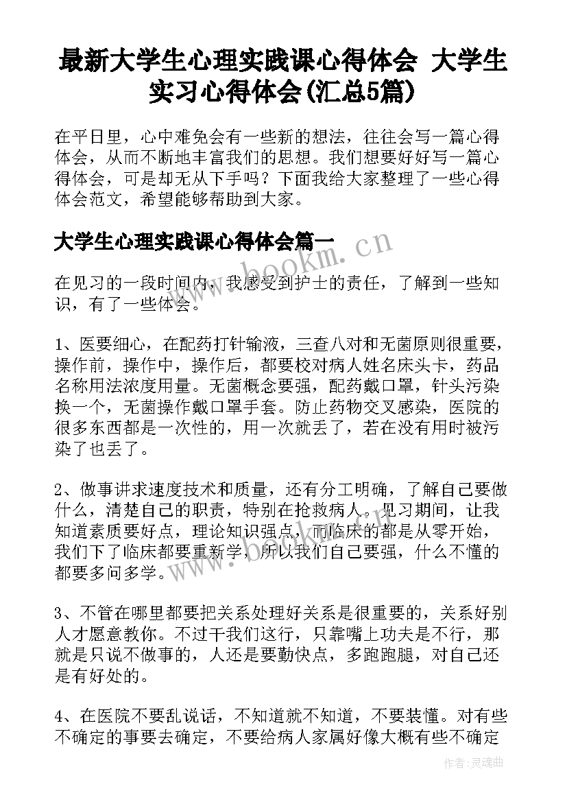 最新大学生心理实践课心得体会 大学生实习心得体会(汇总5篇)