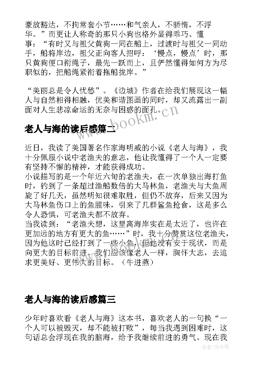 最新老人与海的读后感(精选5篇)