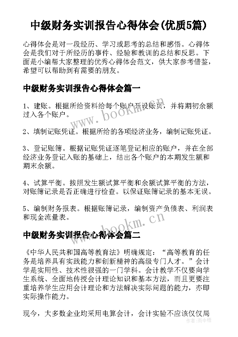 中级财务实训报告心得体会(优质5篇)