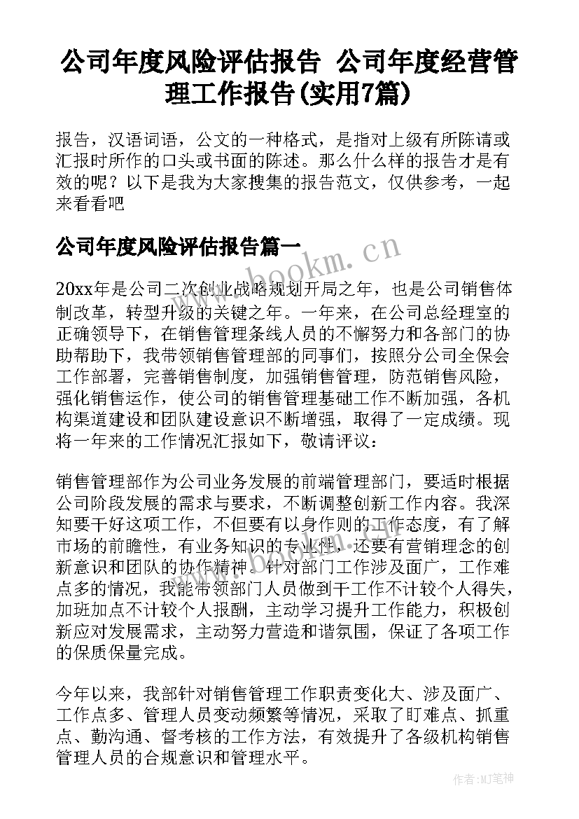 公司年度风险评估报告 公司年度经营管理工作报告(实用7篇)