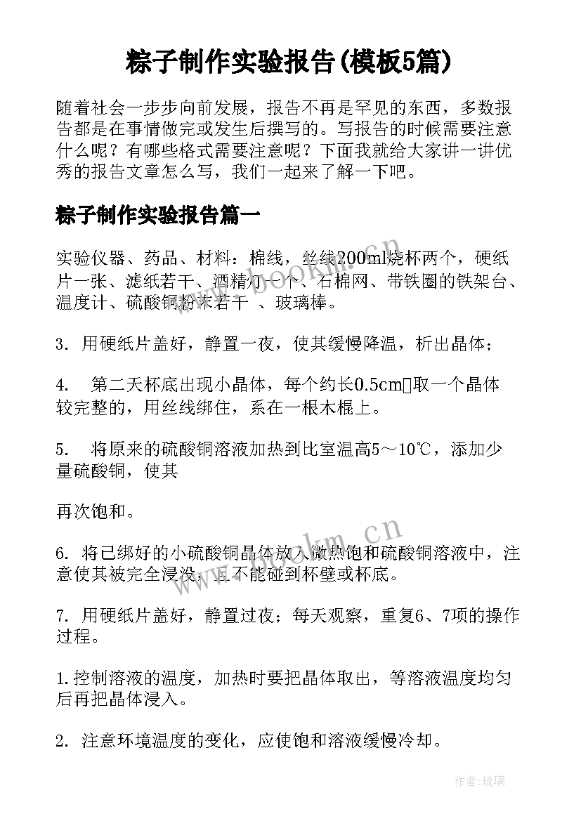 粽子制作实验报告(模板5篇)