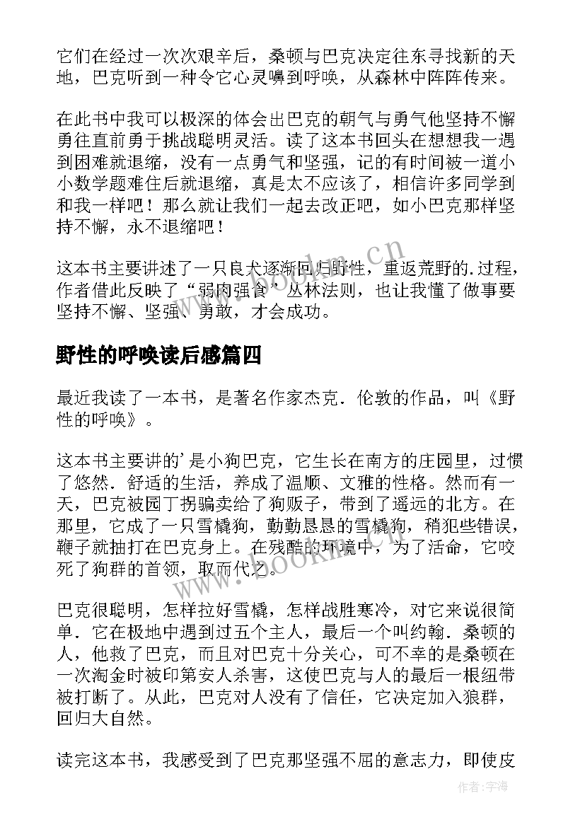 野性的呼唤读后感(模板10篇)