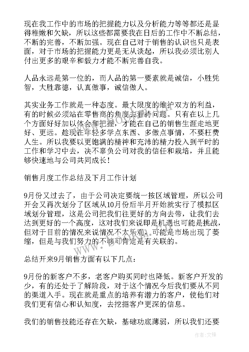 销售员月度总结报告(精选5篇)