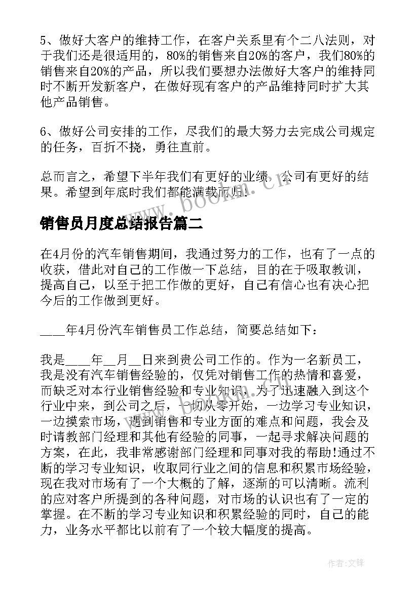 销售员月度总结报告(精选5篇)