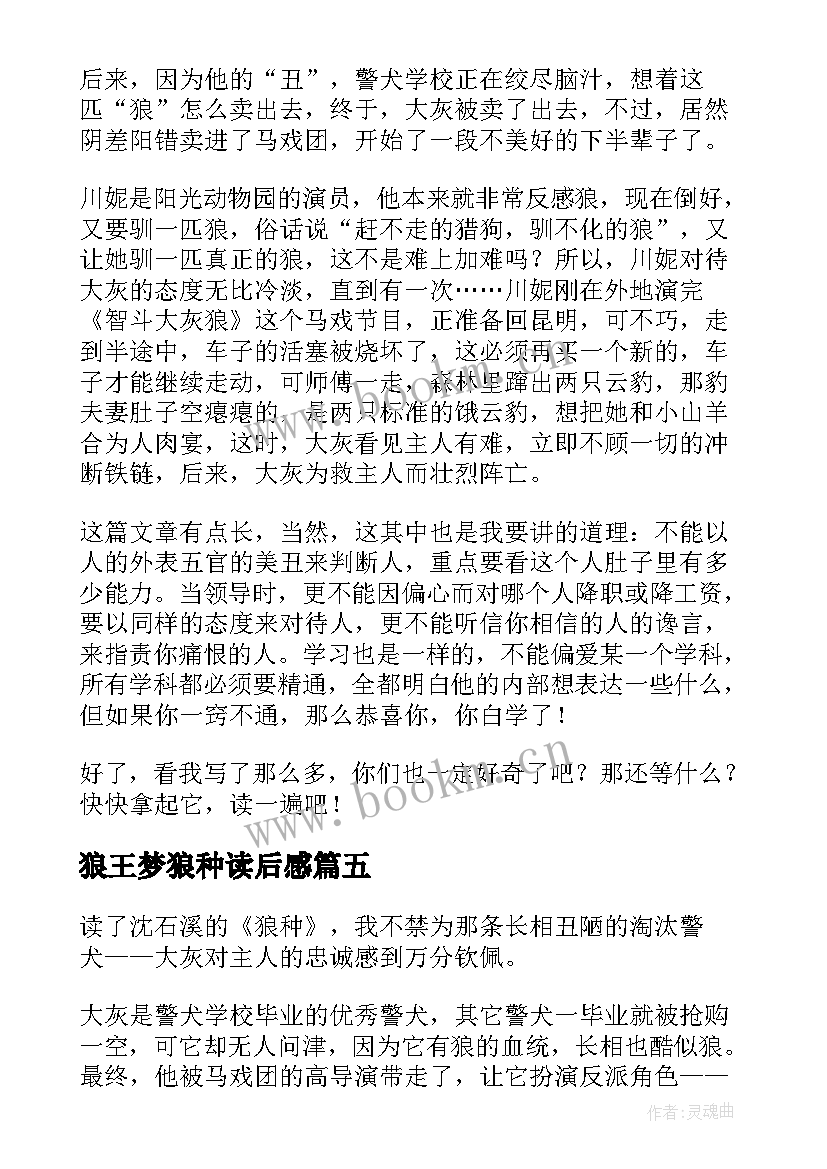 2023年狼王梦狼种读后感(实用6篇)