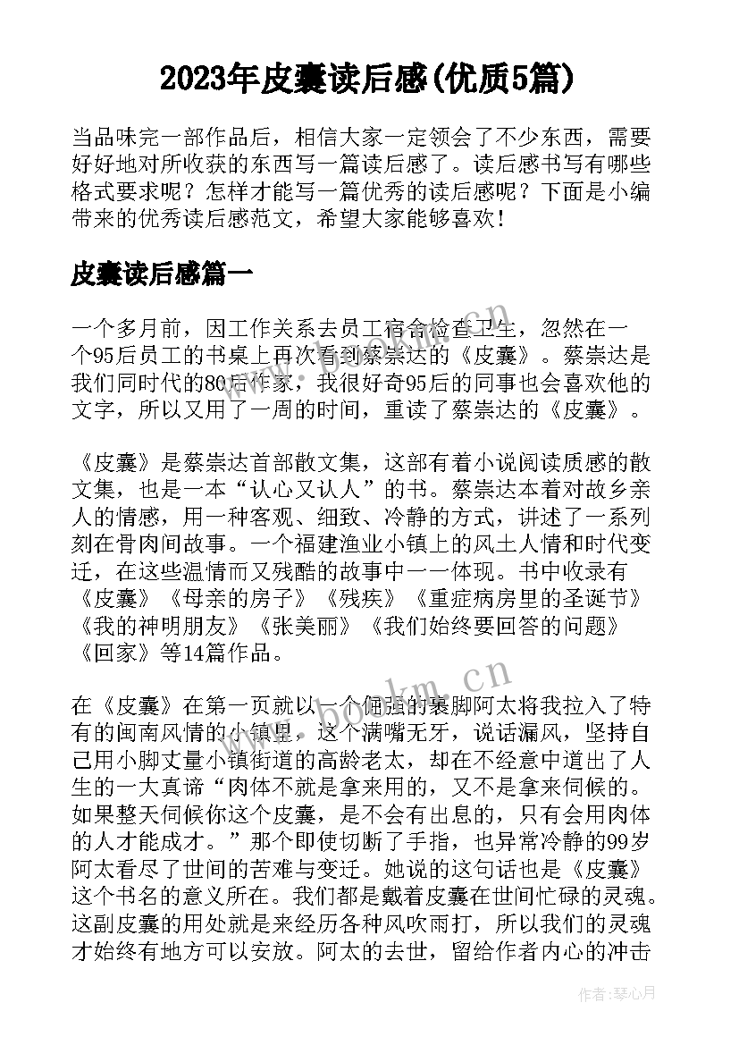 2023年皮囊读后感(优质5篇)