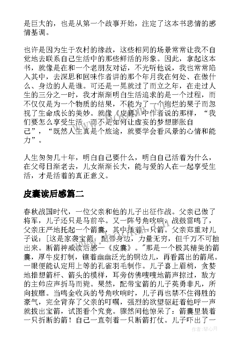 2023年皮囊读后感(优质5篇)