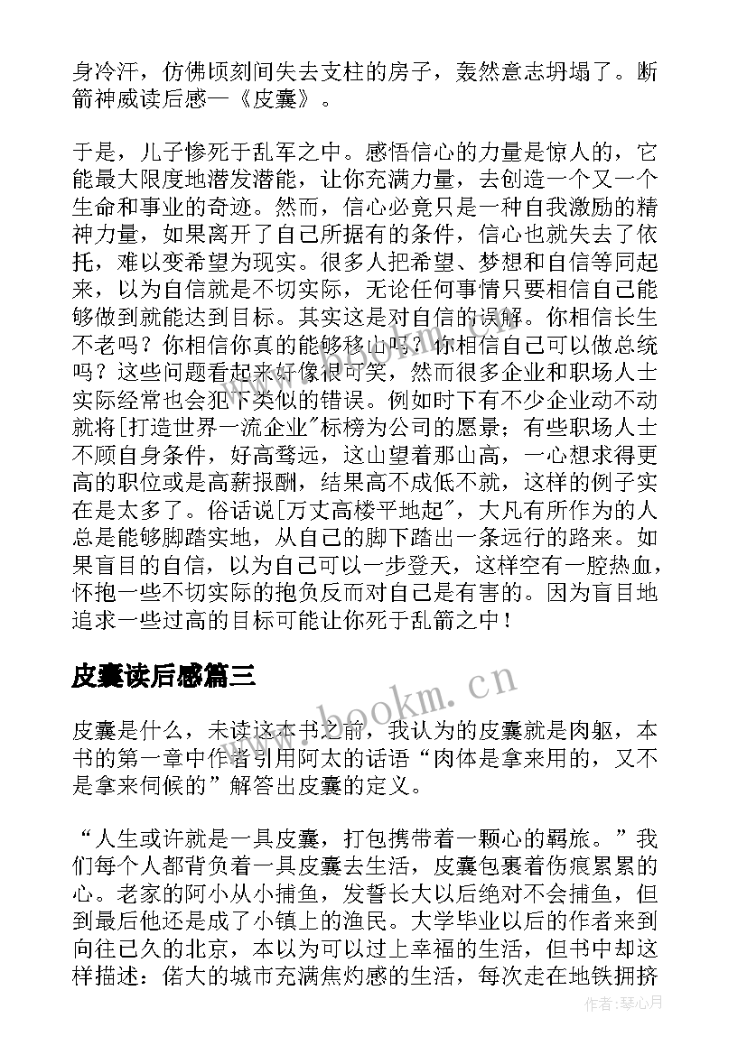 2023年皮囊读后感(优质5篇)