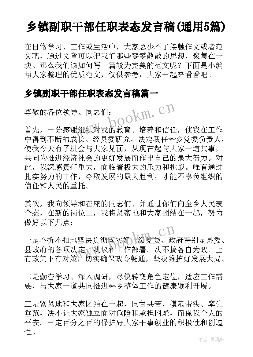 乡镇副职干部任职表态发言稿(通用5篇)