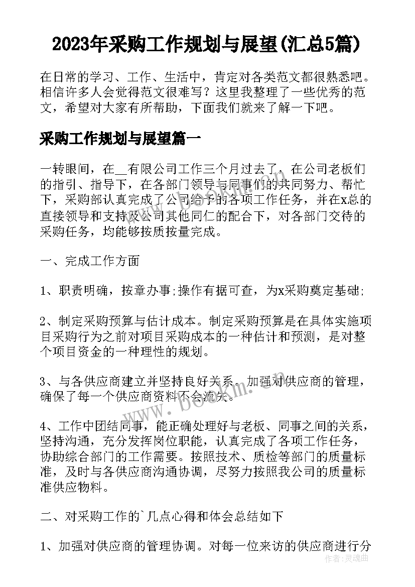 2023年采购工作规划与展望(汇总5篇)