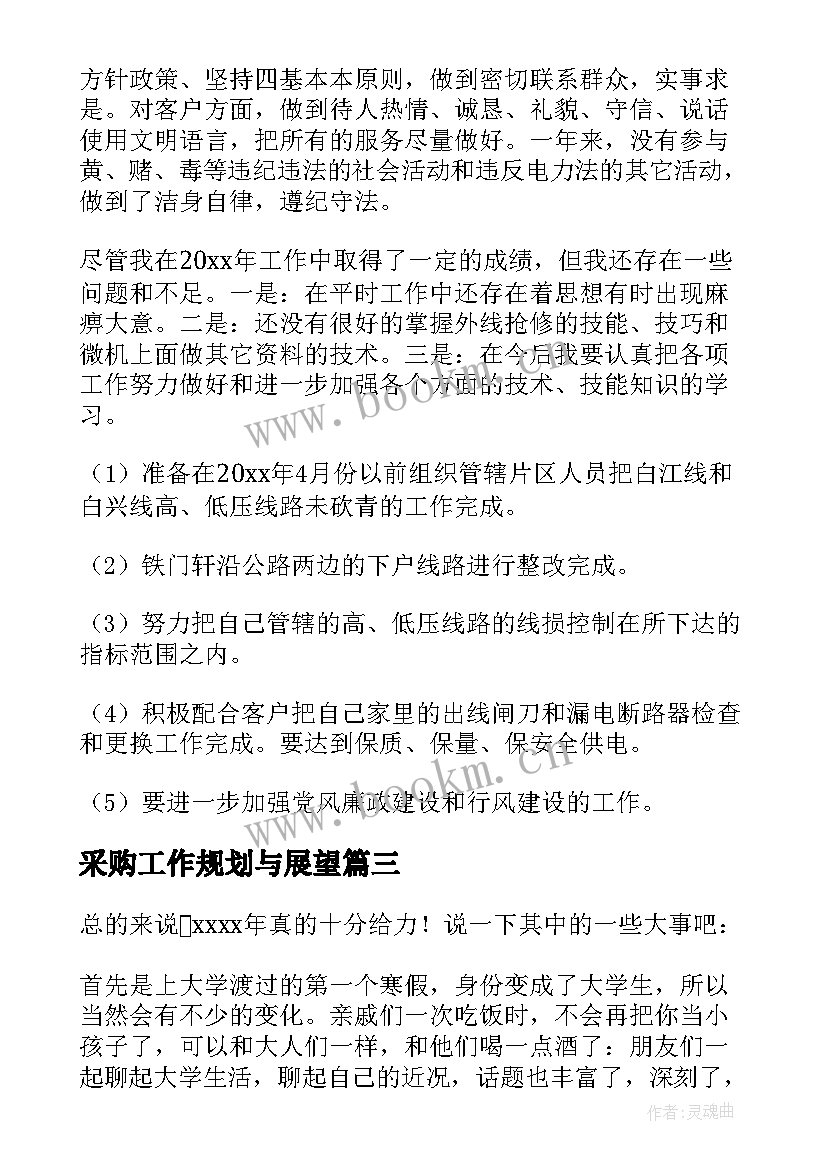 2023年采购工作规划与展望(汇总5篇)