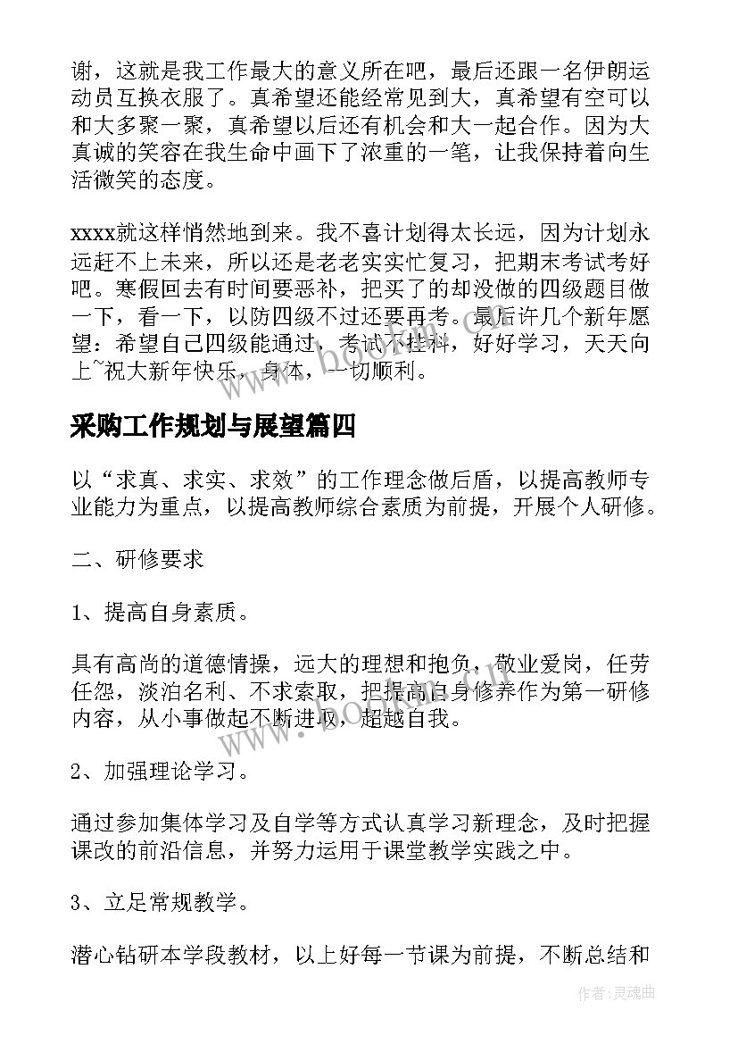 2023年采购工作规划与展望(汇总5篇)