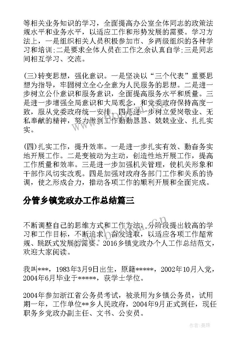 最新分管乡镇党政办工作总结(模板10篇)