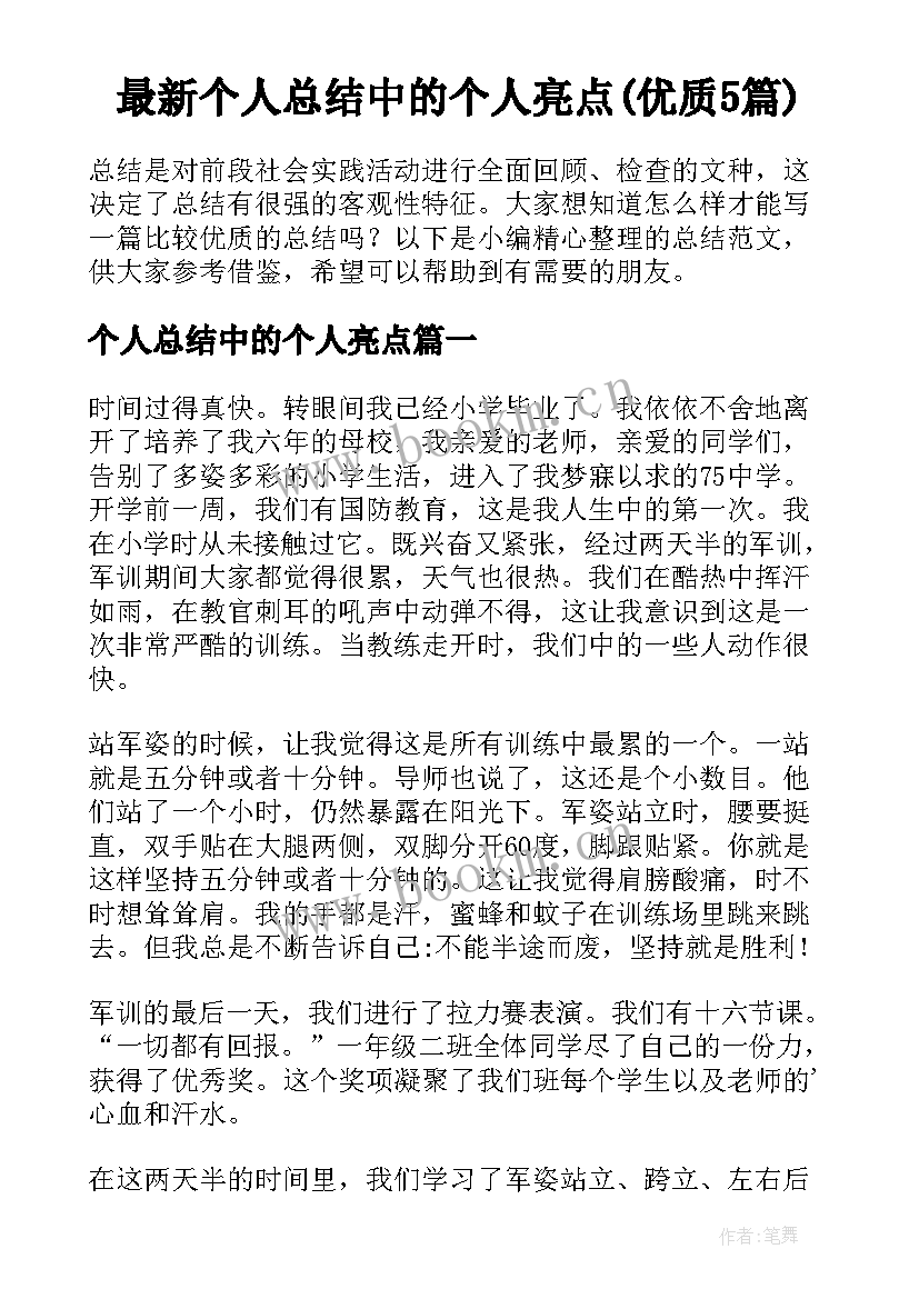 最新个人总结中的个人亮点(优质5篇)