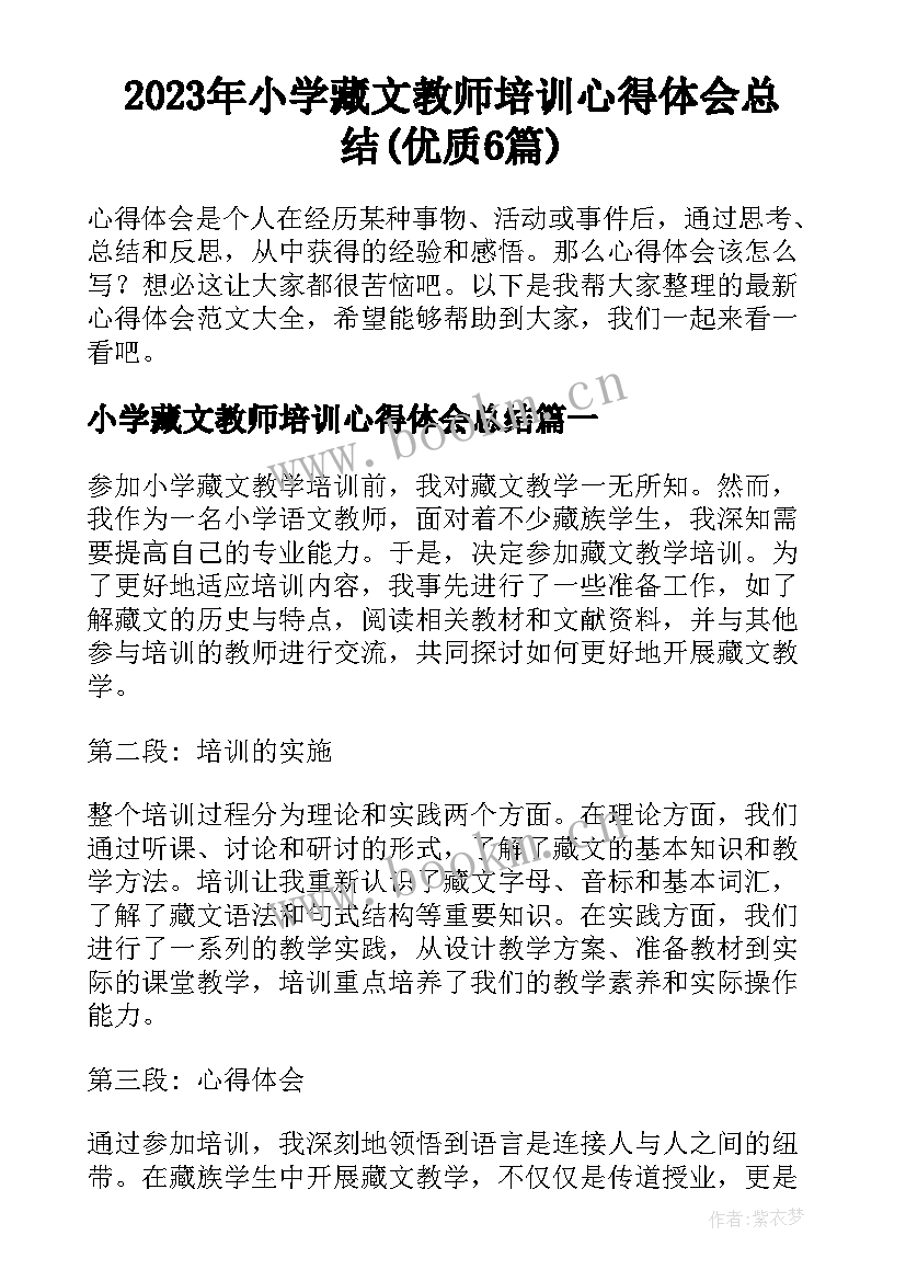 2023年小学藏文教师培训心得体会总结(优质6篇)