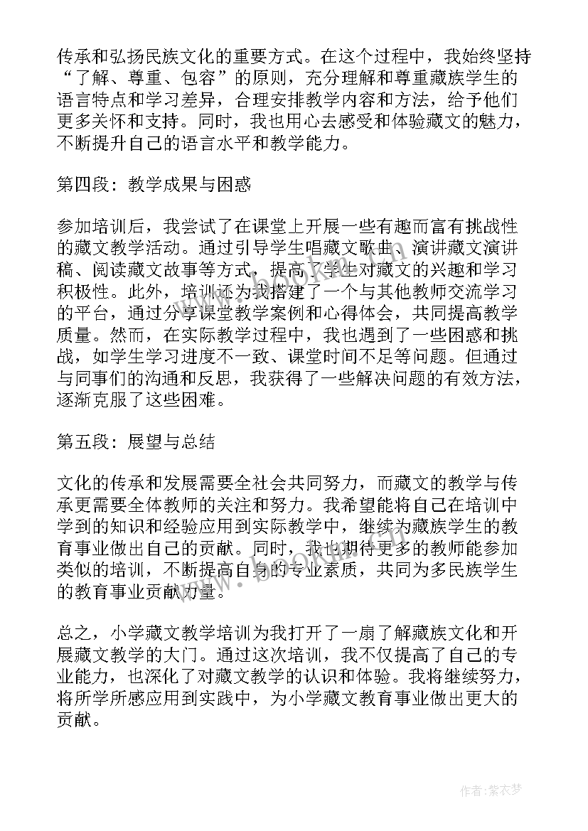 2023年小学藏文教师培训心得体会总结(优质6篇)