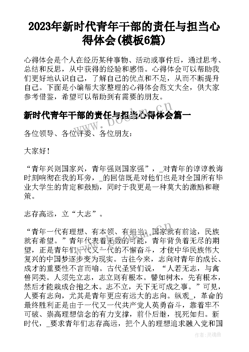 2023年新时代青年干部的责任与担当心得体会(模板6篇)