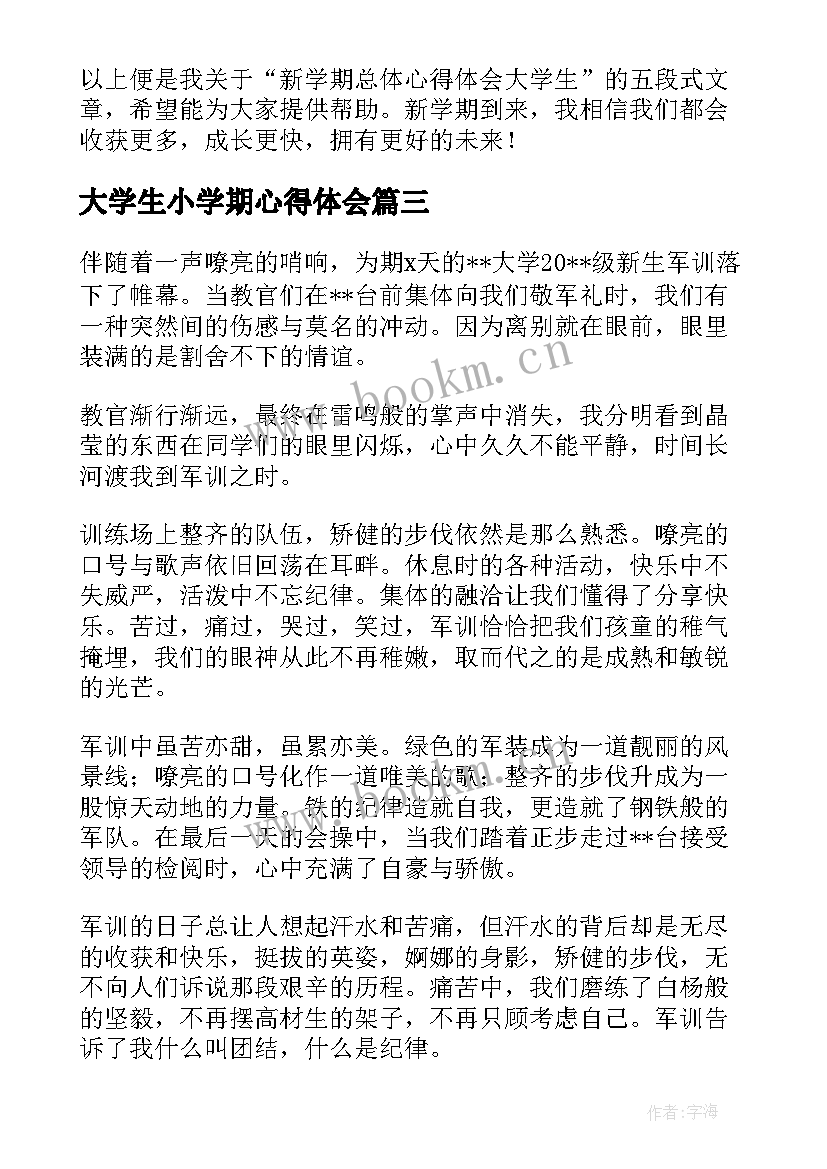 大学生小学期心得体会(实用5篇)