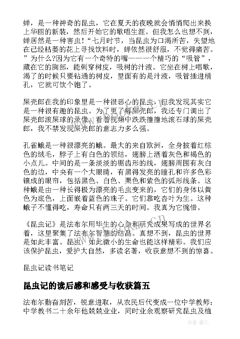 最新昆虫记的读后感和感受与收获(模板5篇)