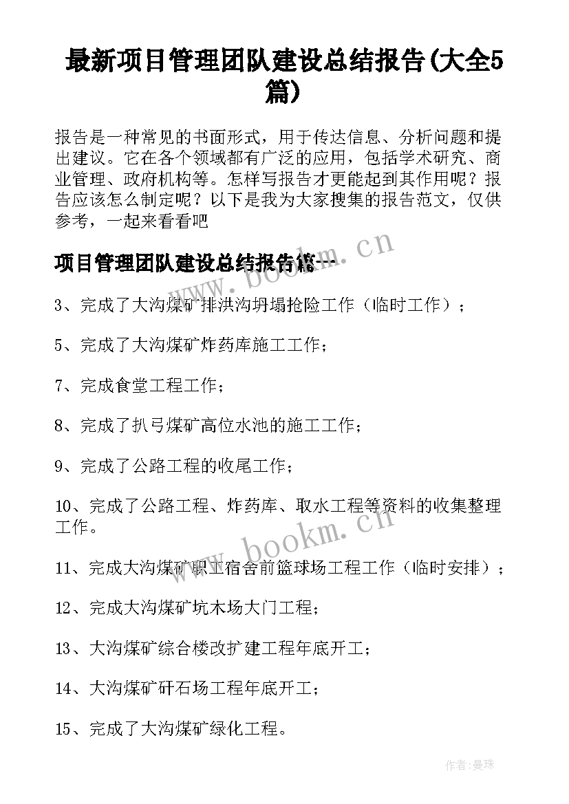 最新项目管理团队建设总结报告(大全5篇)