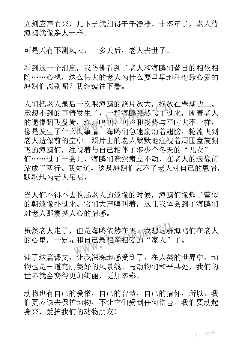 最新老人与海阅读体会 老人与海学生读后感(精选5篇)