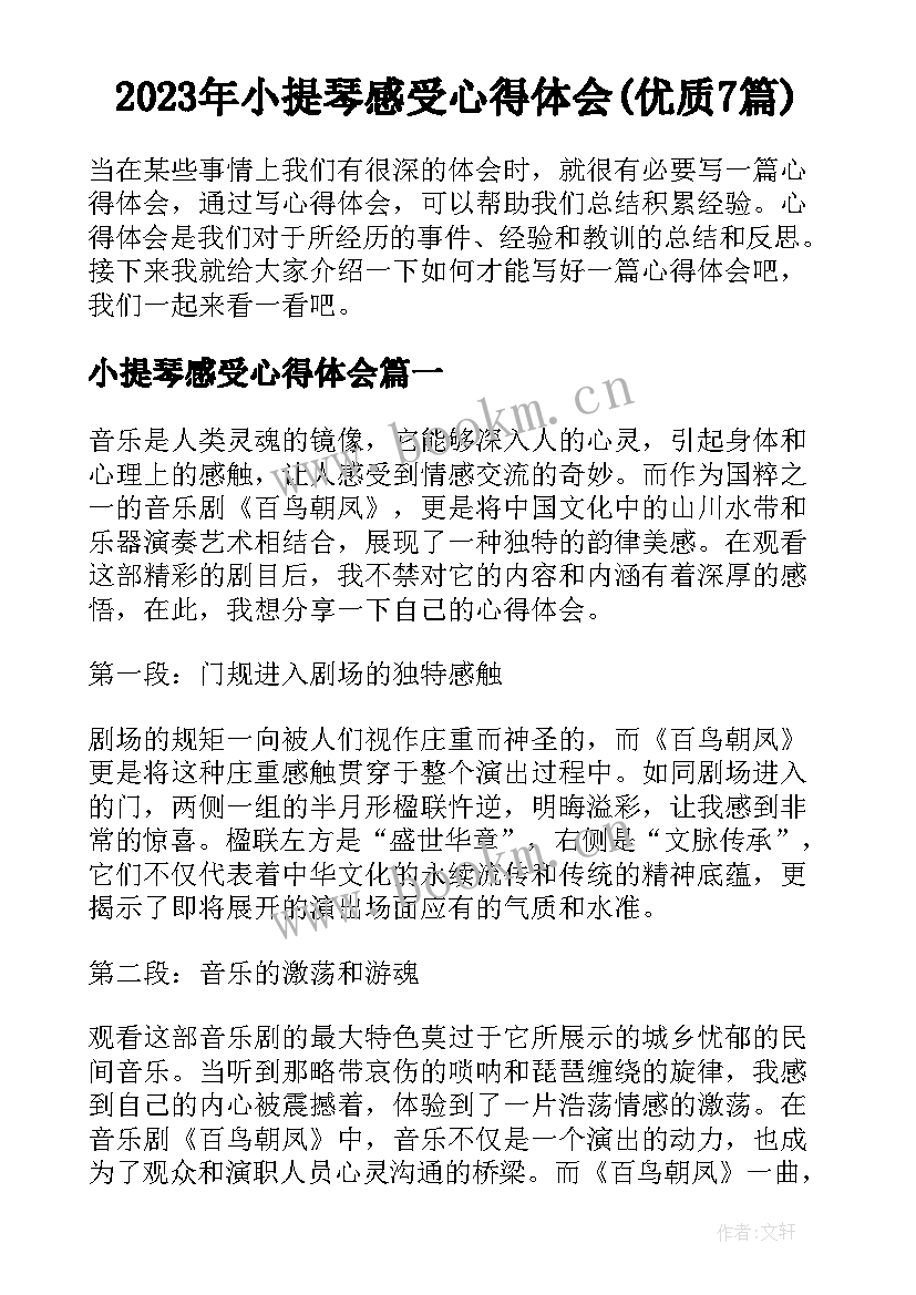 2023年小提琴感受心得体会(优质7篇)