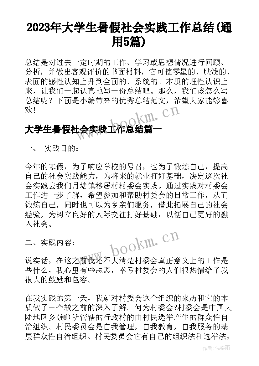 2023年大学生暑假社会实践工作总结(通用5篇)