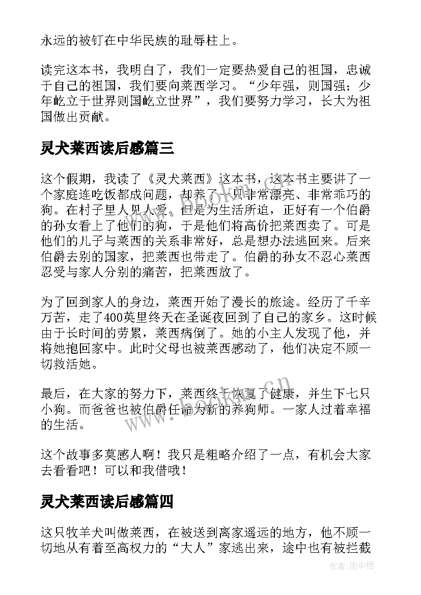 2023年灵犬莱西读后感(汇总5篇)