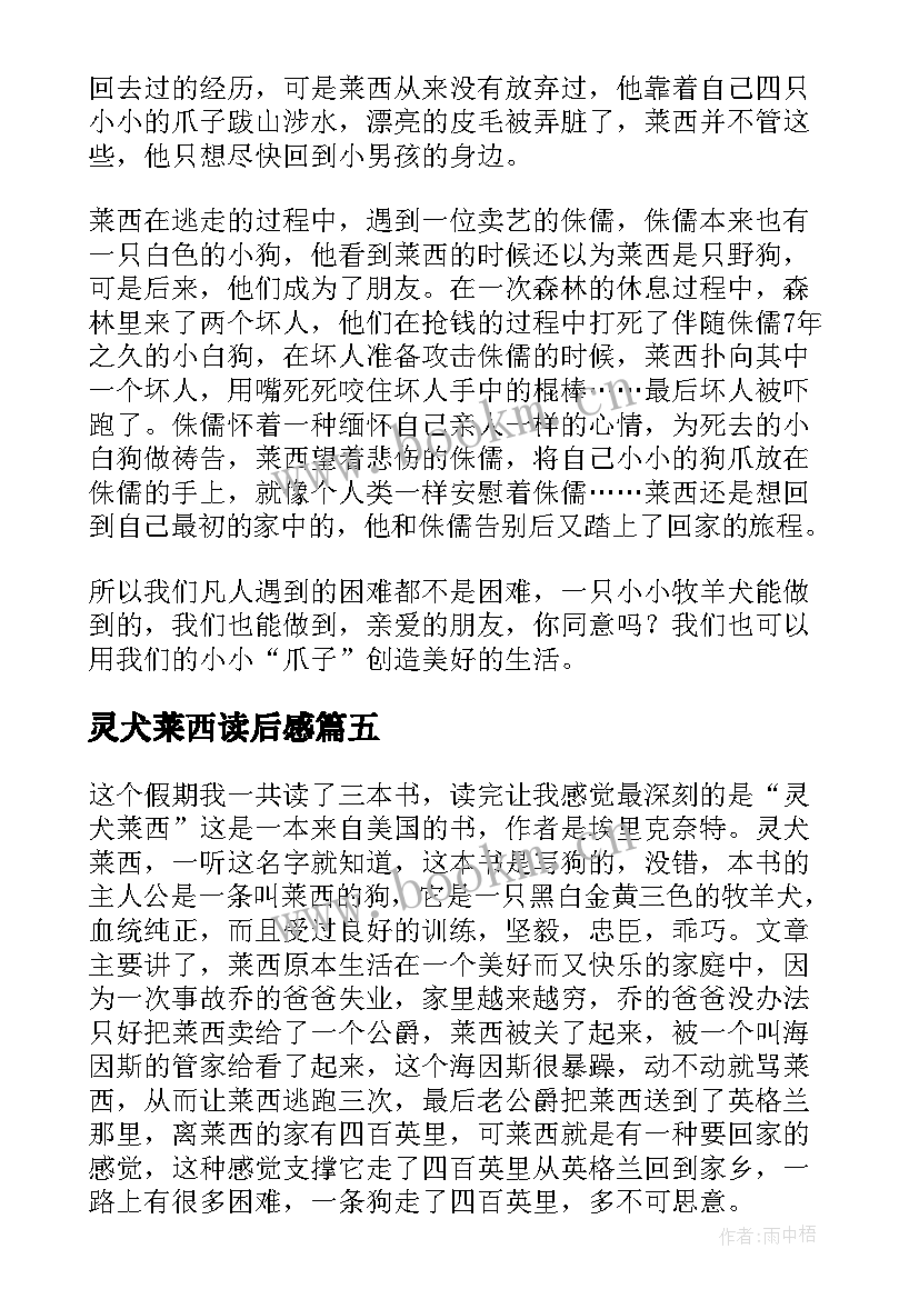 2023年灵犬莱西读后感(汇总5篇)