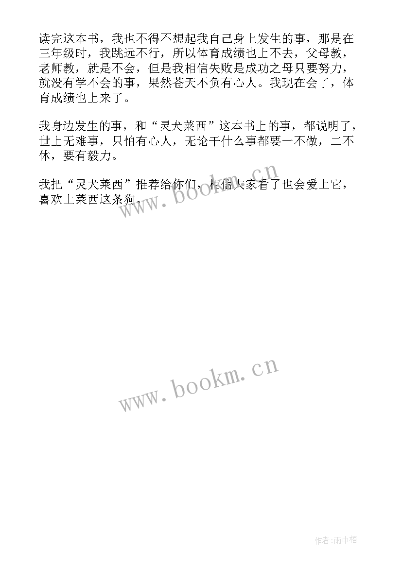 2023年灵犬莱西读后感(汇总5篇)