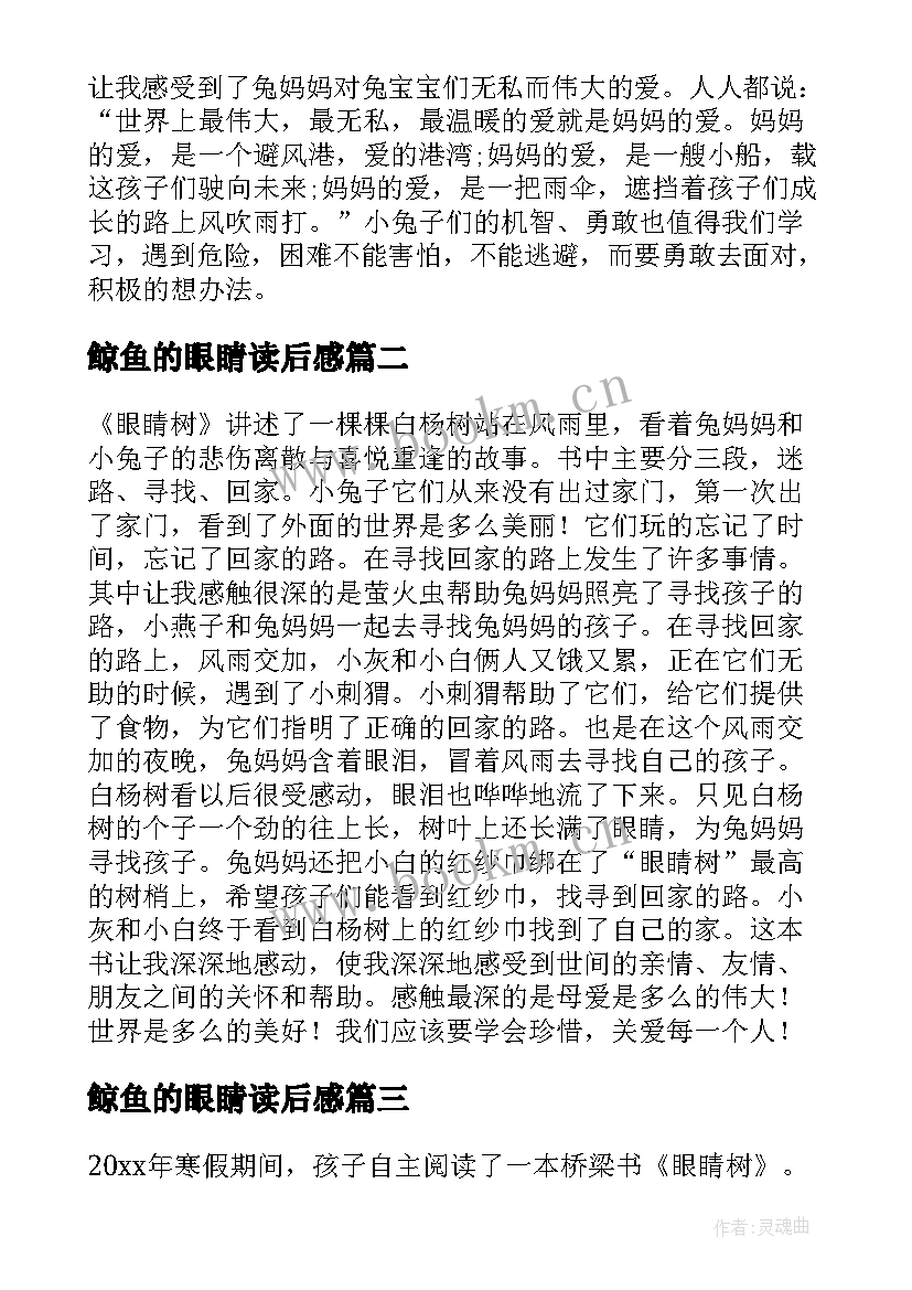 2023年鲸鱼的眼睛读后感 眼睛树读后感(模板6篇)