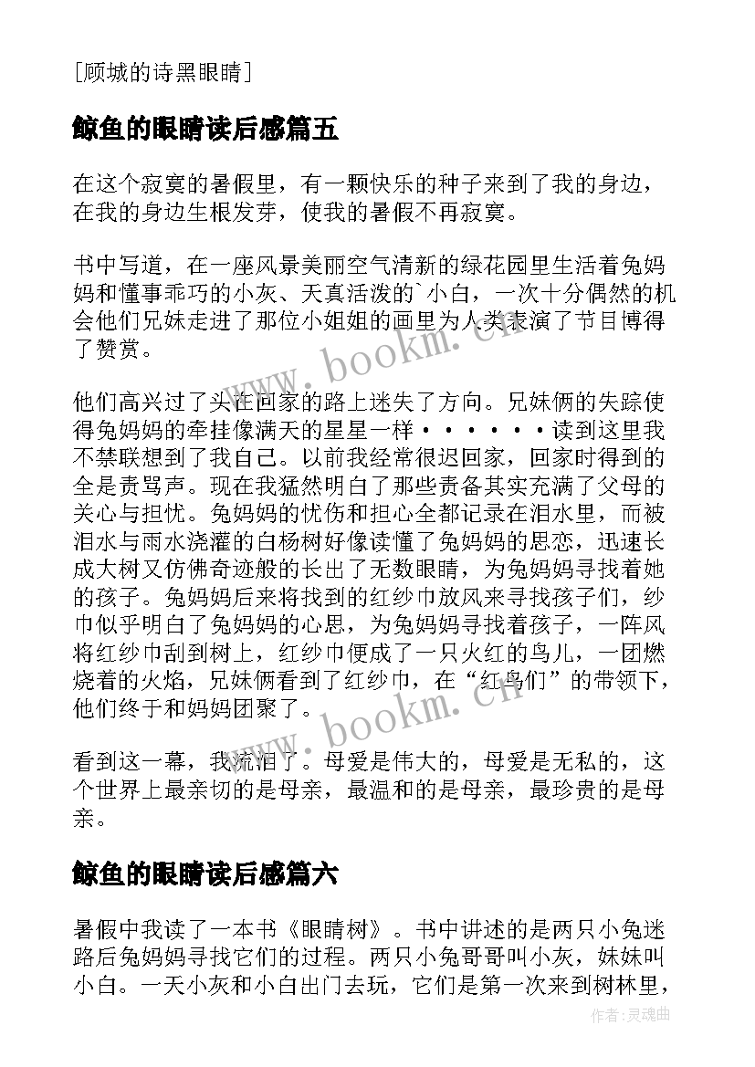 2023年鲸鱼的眼睛读后感 眼睛树读后感(模板6篇)