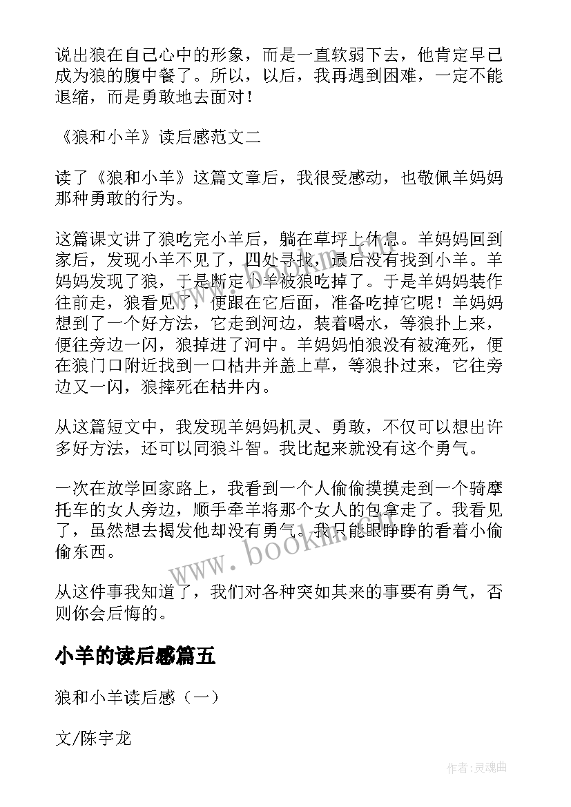 2023年小羊的读后感(精选6篇)