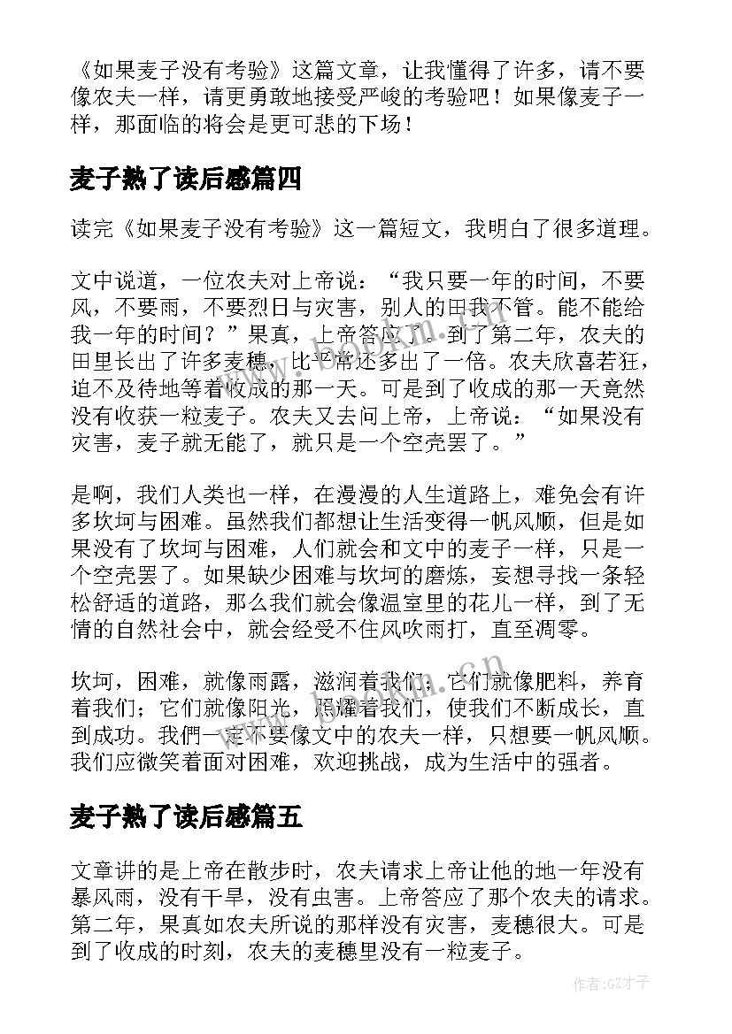 麦子熟了读后感(优秀5篇)