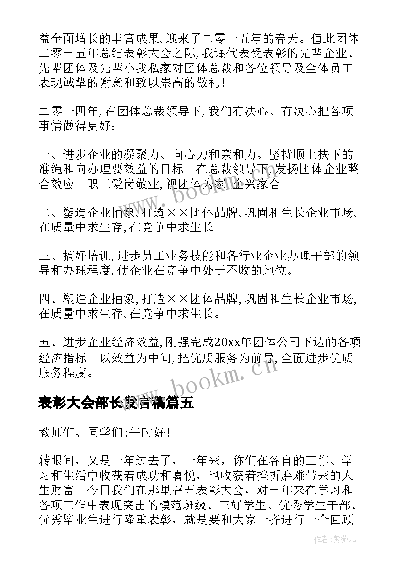 表彰大会部长发言稿(大全5篇)