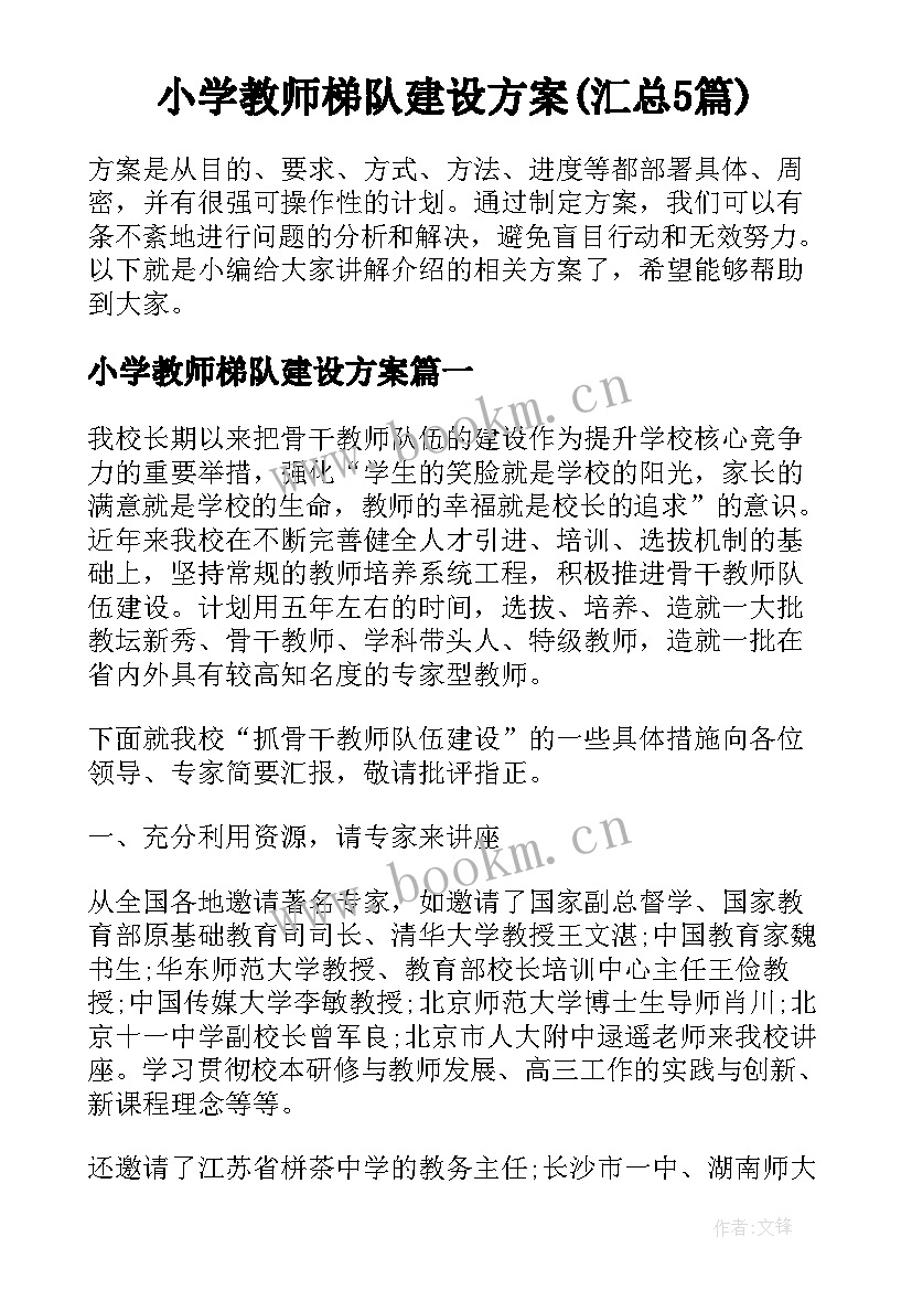 小学教师梯队建设方案(汇总5篇)