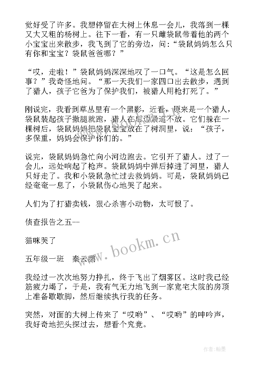 最新鸟儿的侦察报告阅读题 鸟儿的侦察报告(大全9篇)