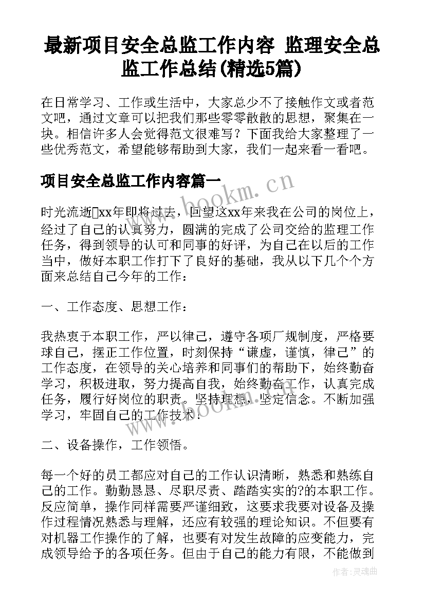 最新项目安全总监工作内容 监理安全总监工作总结(精选5篇)