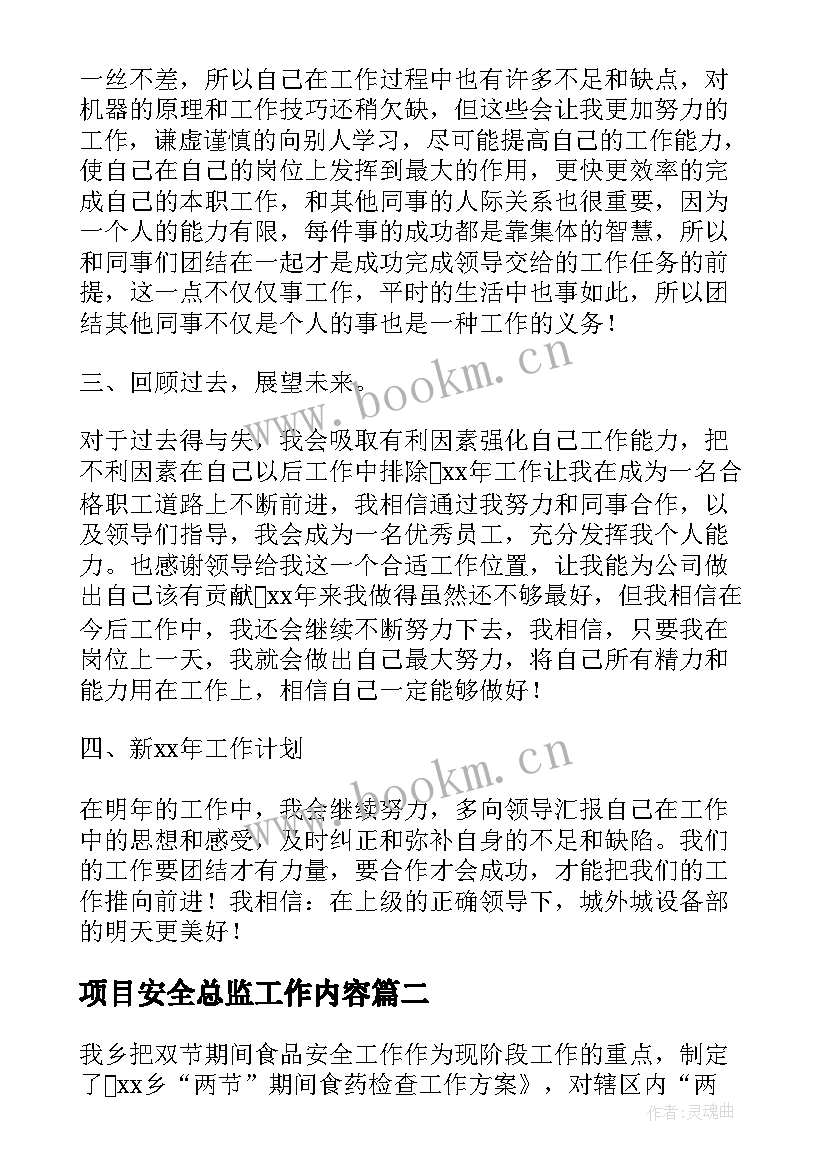 最新项目安全总监工作内容 监理安全总监工作总结(精选5篇)