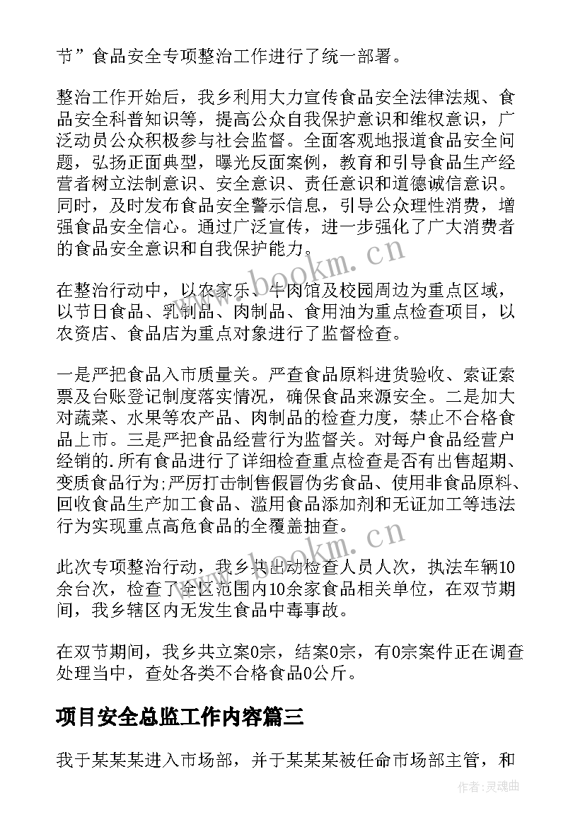 最新项目安全总监工作内容 监理安全总监工作总结(精选5篇)