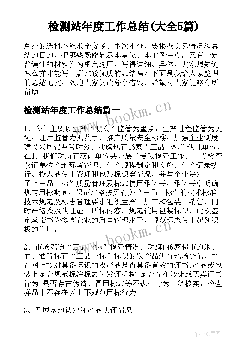 检测站年度工作总结(大全5篇)