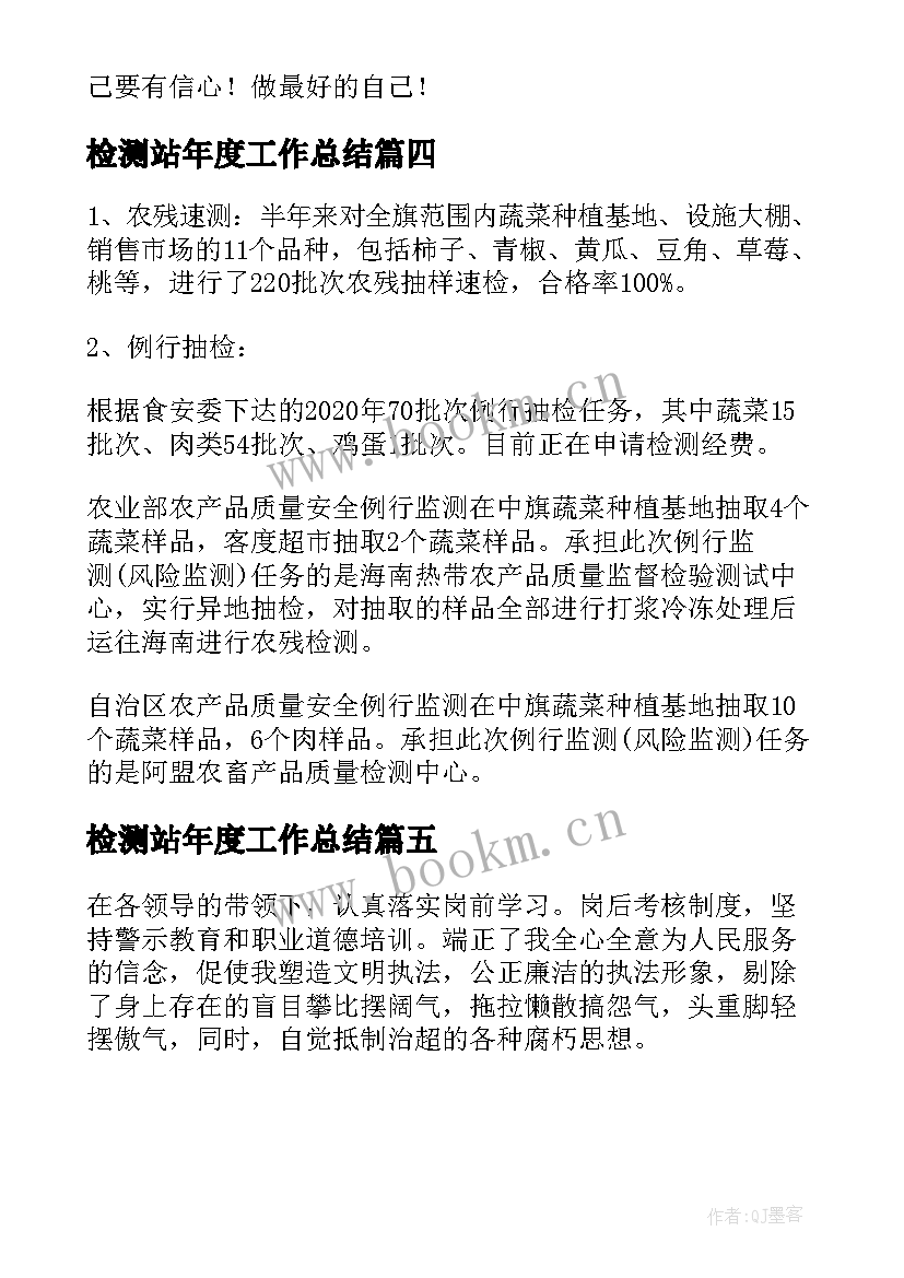 检测站年度工作总结(大全5篇)