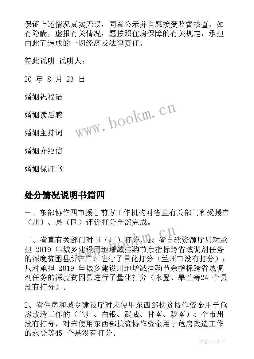 2023年处分情况说明书 故障情况说明(模板5篇)