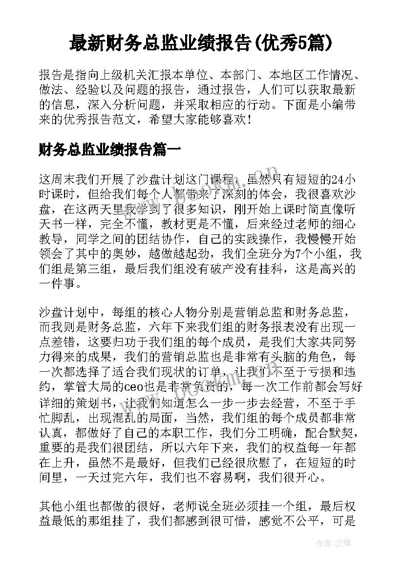 最新财务总监业绩报告(优秀5篇)